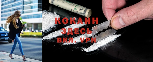 мдма Новодвинск