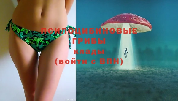 синтетический гашиш Дмитриев